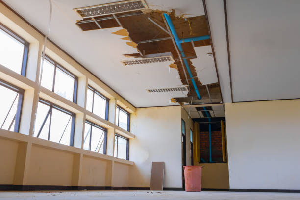 Best Ceiling water damage repair  in Weston Mills, NY