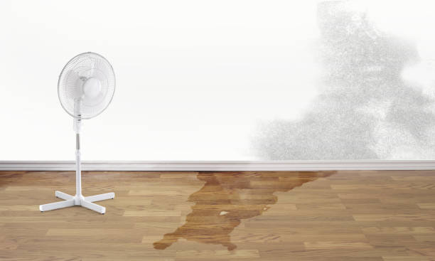 Best Water damage restoration near me  in Weston Mills, NY