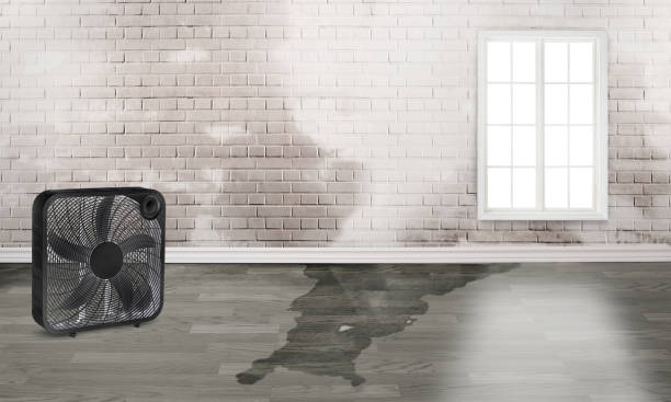 Best Sewage cleanup and water damage restoration  in Weston Mills, NY