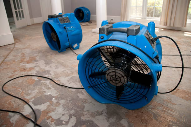 Best Flooded house restoration  in Weston Mills, NY
