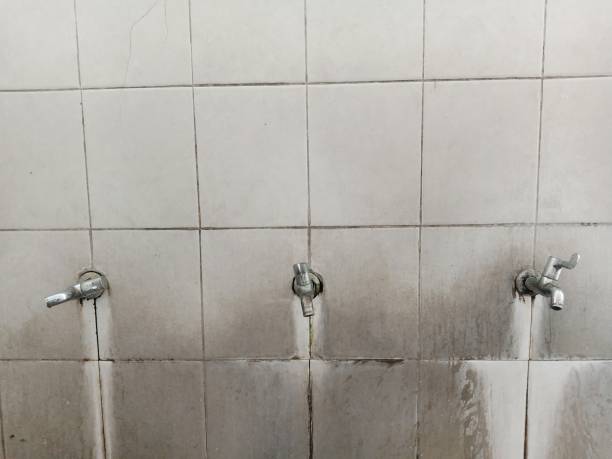 Best Mold removal after water damage  in Weston Mills, NY