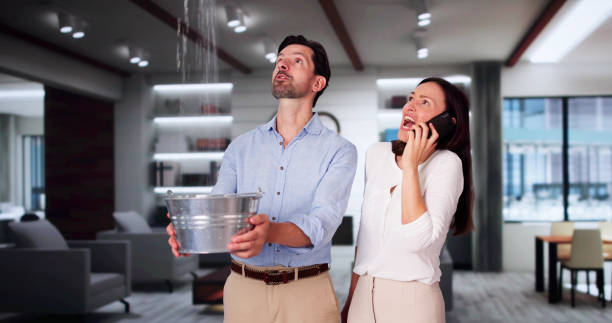 Best Ceiling water damage repair  in Weston Mills, NY